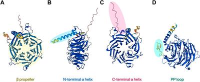 Unveiling the molecular structure and role of RBBP4/7: implications for epigenetic regulation and cancer research